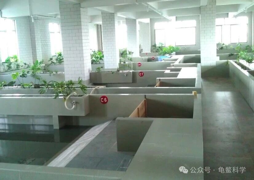 水产.jpg